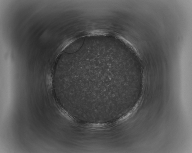 X0000115721401200911191342