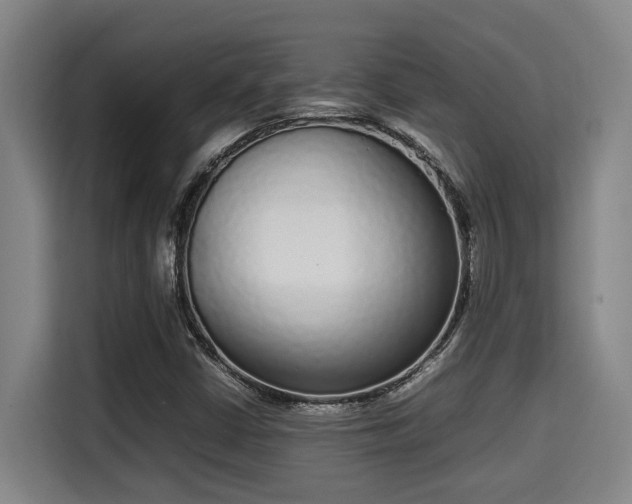 X0000115721402200911191342