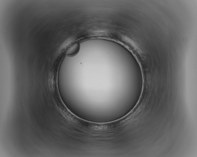 X0000115721403200911191342
