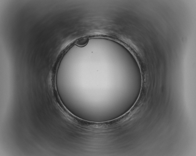 X0000115721404200911191342