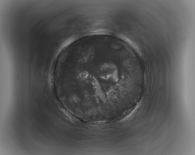 X0000115721405200911191342