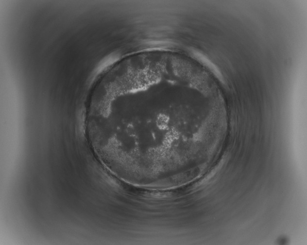 X0000115721411200911191342