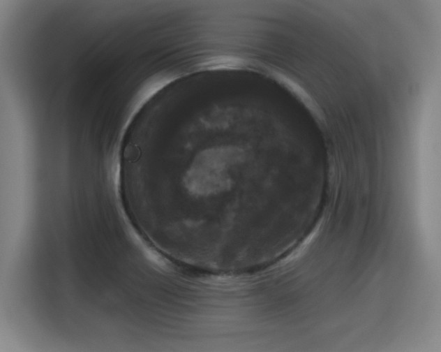 X0000115721418200911191342