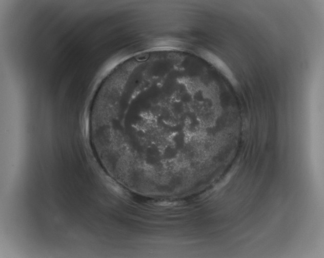 X0000115721419200911191342