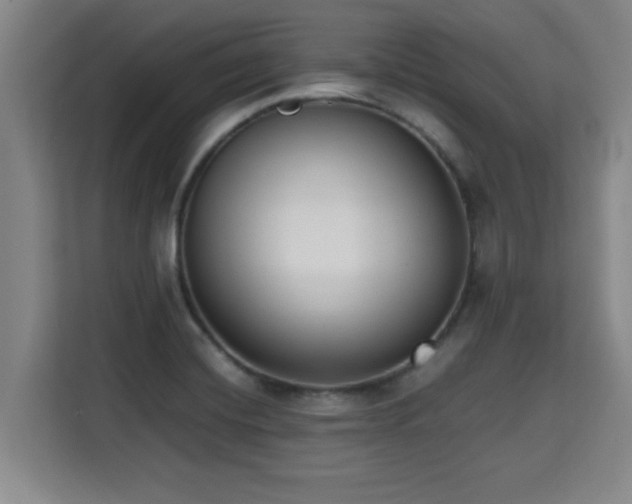 X0000115721420200911191342