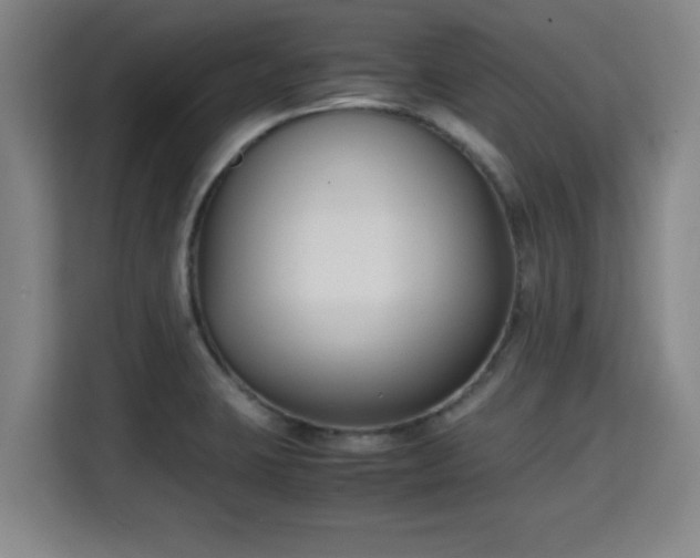 X0000115721423200911191342