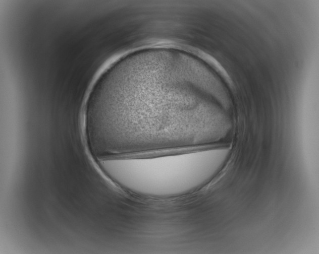 X0000115721424200911191342