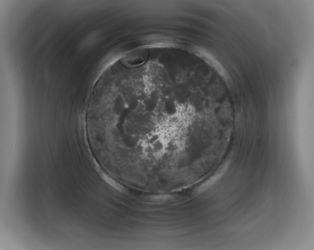 X0000115721425200911191342