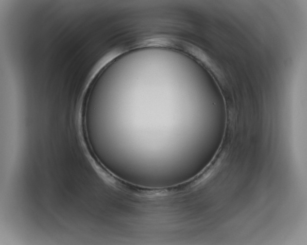 X0000115721426200911191342