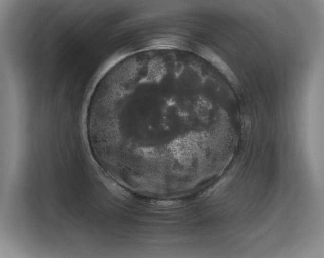 X0000115721427200911191342