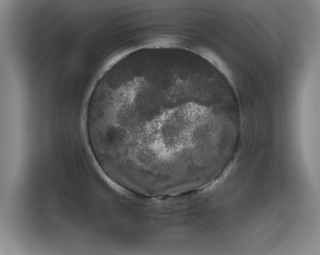 X0000115721429200911191342