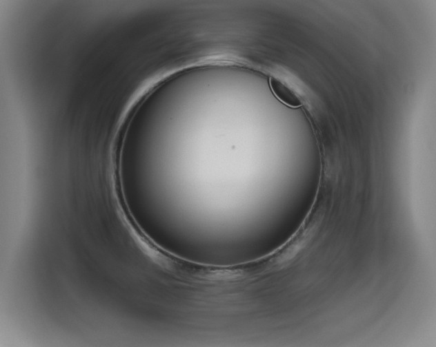 X0000115721430200911191342