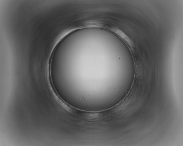 X0000115721431200911191342