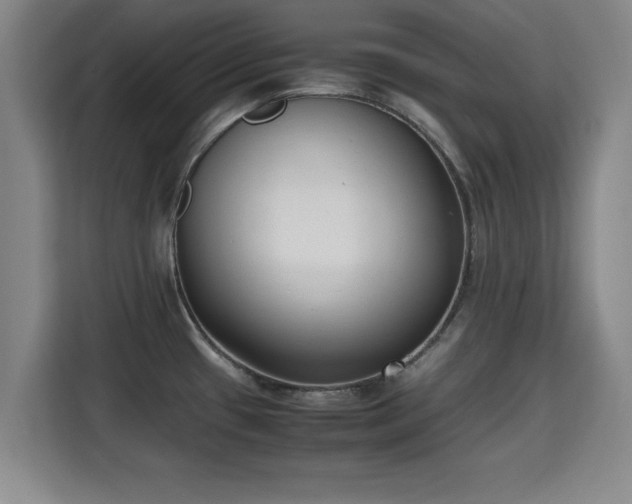 X0000115721433200911191342