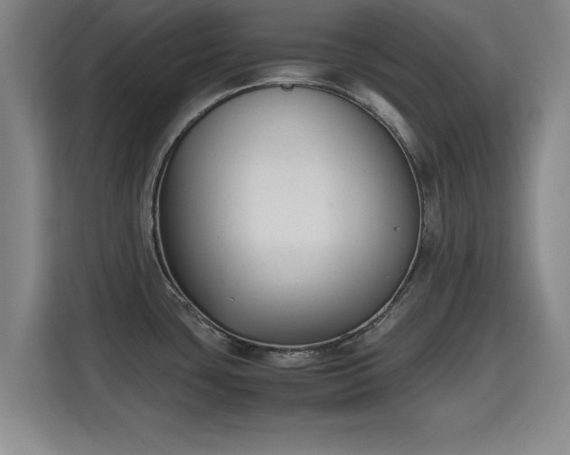 X0000115721435200911191342
