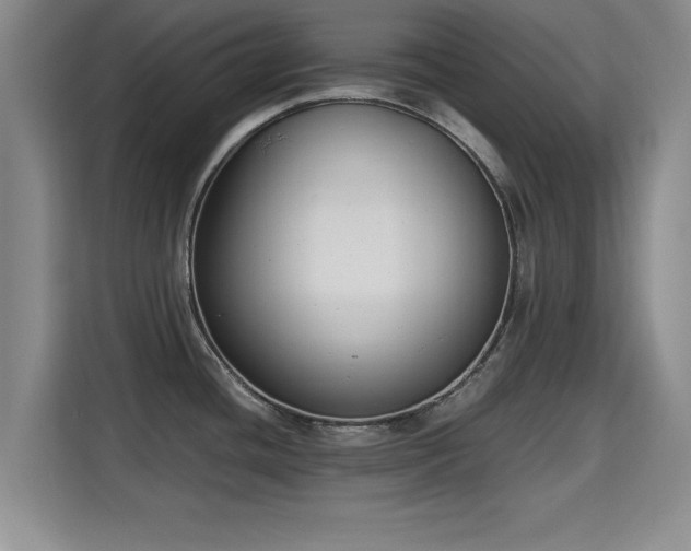 X0000115721436200911191342