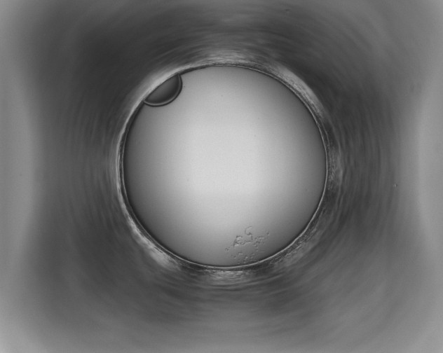X0000115721439200911191343