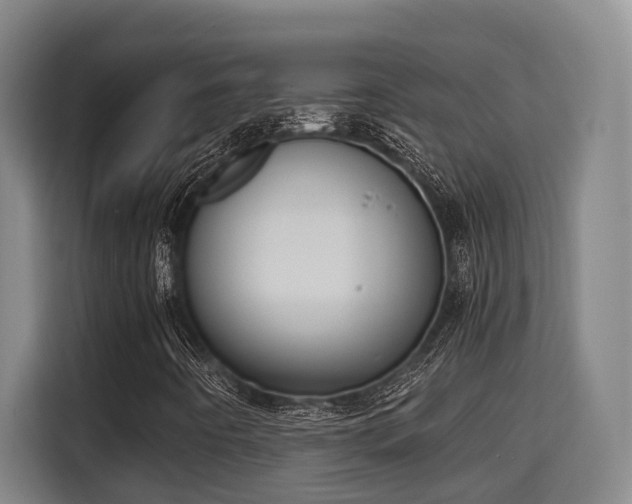 X0000115721442200911191342