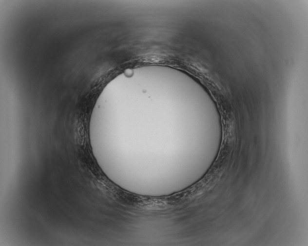 X0000115721446200911191342