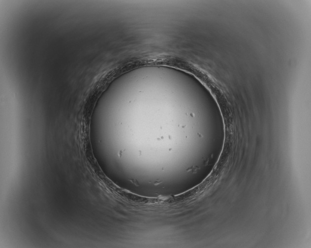 X0000115721447200911191342