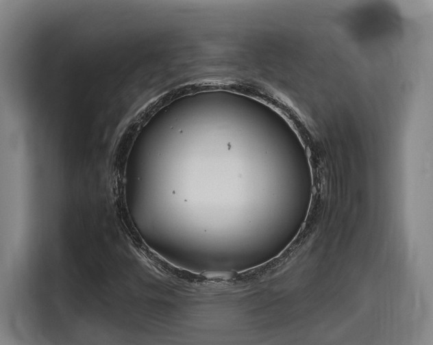 X0000115721448200911191342