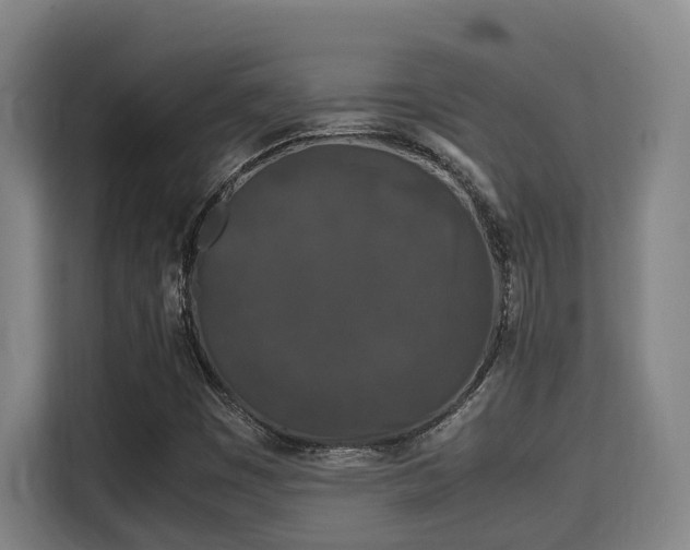 X0000115721449200911191342