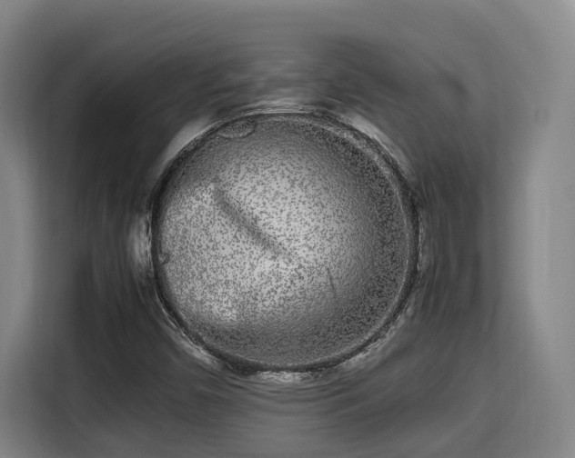 X0000115721450200911191342