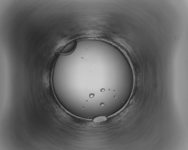 X0000115721451200911191342