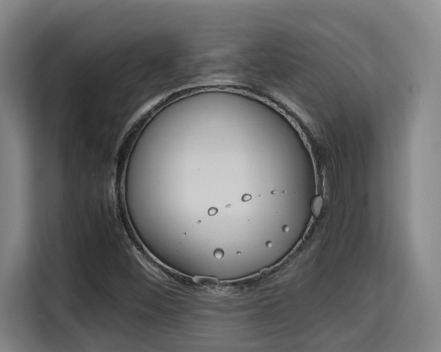 X0000115721452200911191342