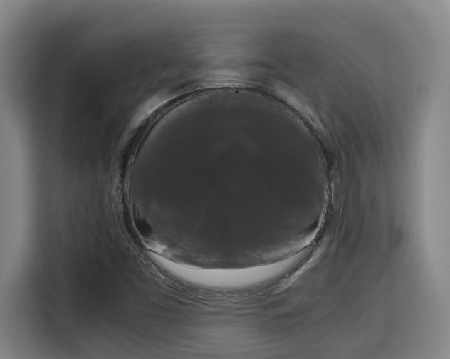 X0000115721453200911191342