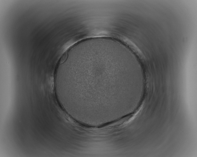 X0000115721457200911191342
