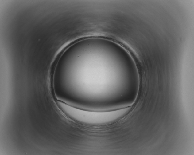 X0000115721460200911191341