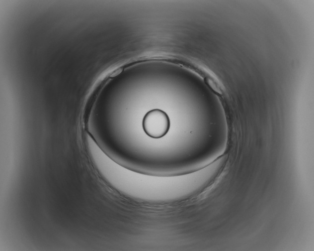 X0000115721461200911191341