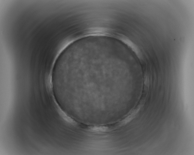 X0000115721466200911191341