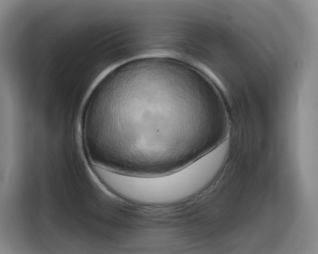 X0000115721468200911191341