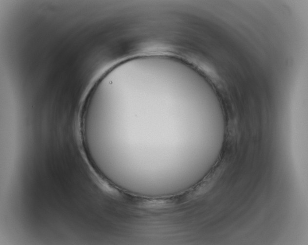 X0000115721470200911191341