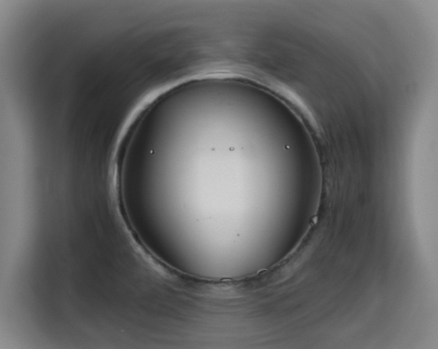 X0000115721472200911191341