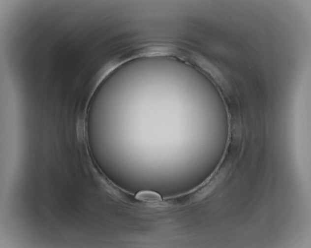 X0000115721473200911191341