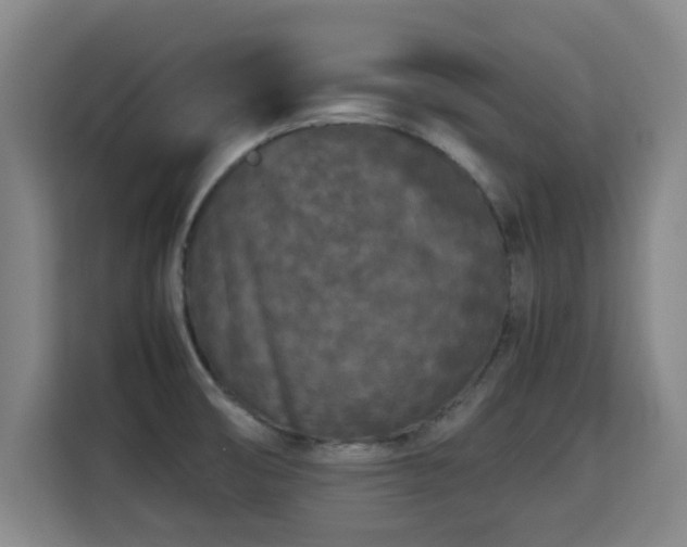 X0000115721474200911191341