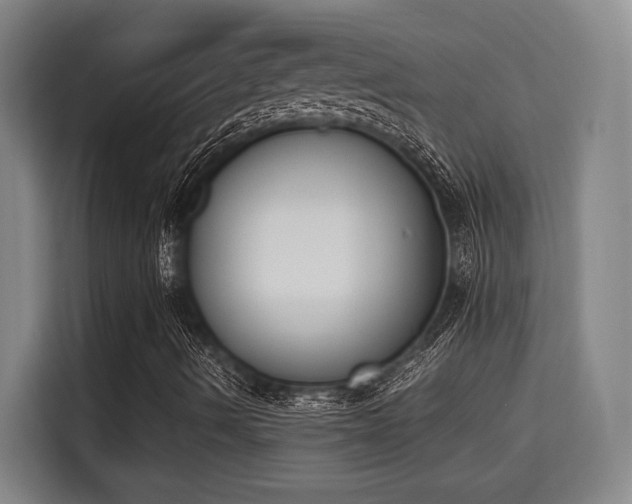 X0000115721490200911191341