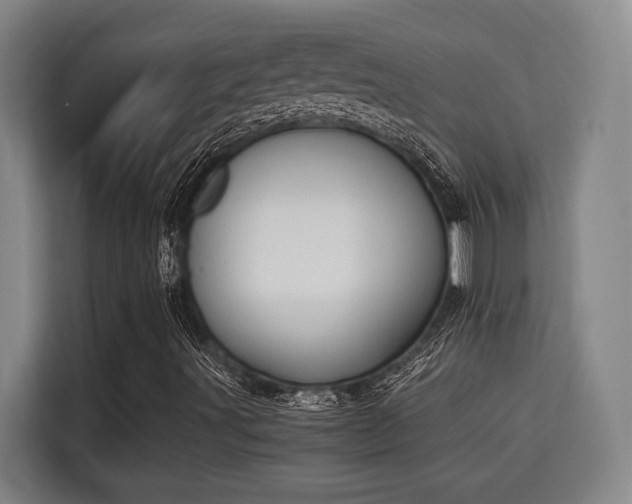 X0000115721491200911191341