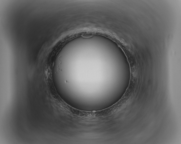 X0000115721495200911191341