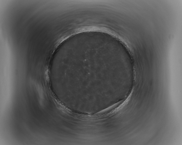 X0000115721497200911191341
