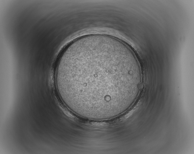 X0000115721498200911191341