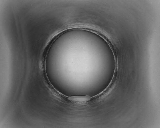 X0000115721501200911191341