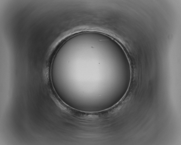 X0000115721503200911191341