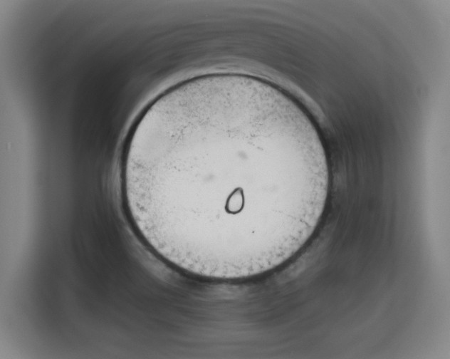 X0000115721514200911191341