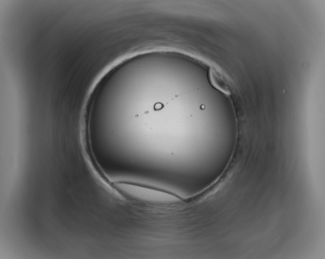 X0000115721518200911191341