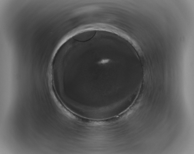 X0000115721522200911191341