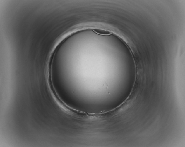 X0000115721523200911191341